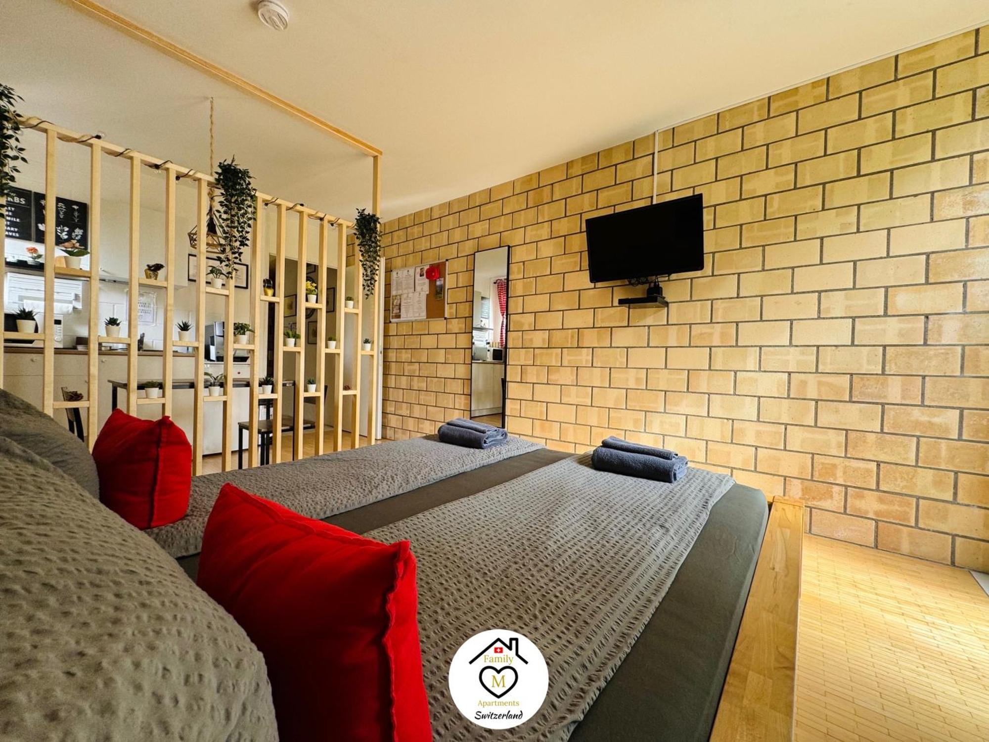Family M Apartments 1 Kappel bei Olten Екстериор снимка
